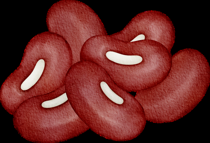 Bean and cowpea seed varieties for East African farmers