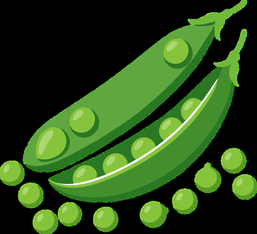 Soya bean and legume seed varieties from Equator Seeds Ltd