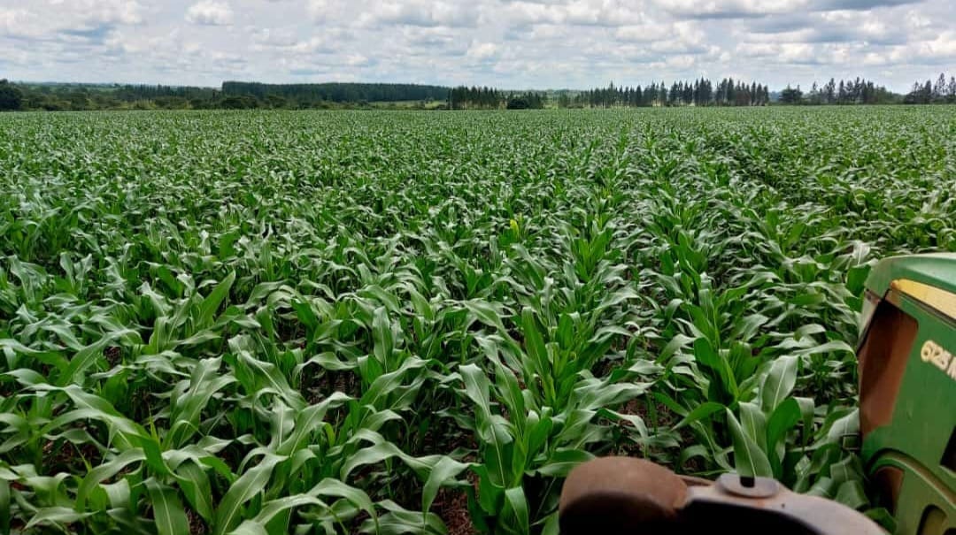 Protecting Biodiversity Through Responsible Farming