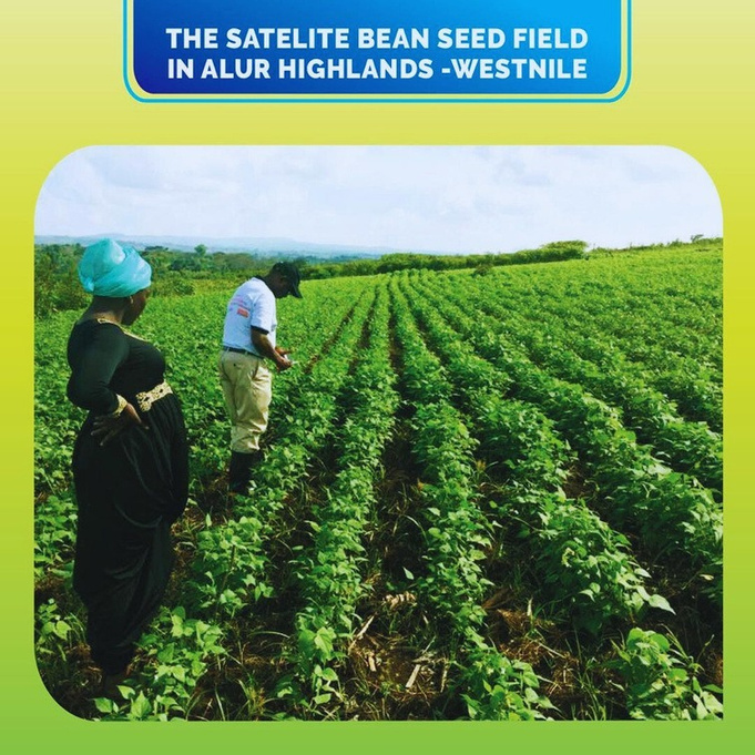 Partnering With Farmers for a Greener Tomorrow