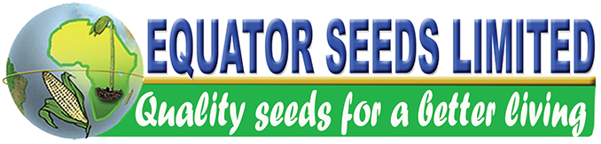 Equator Seeds